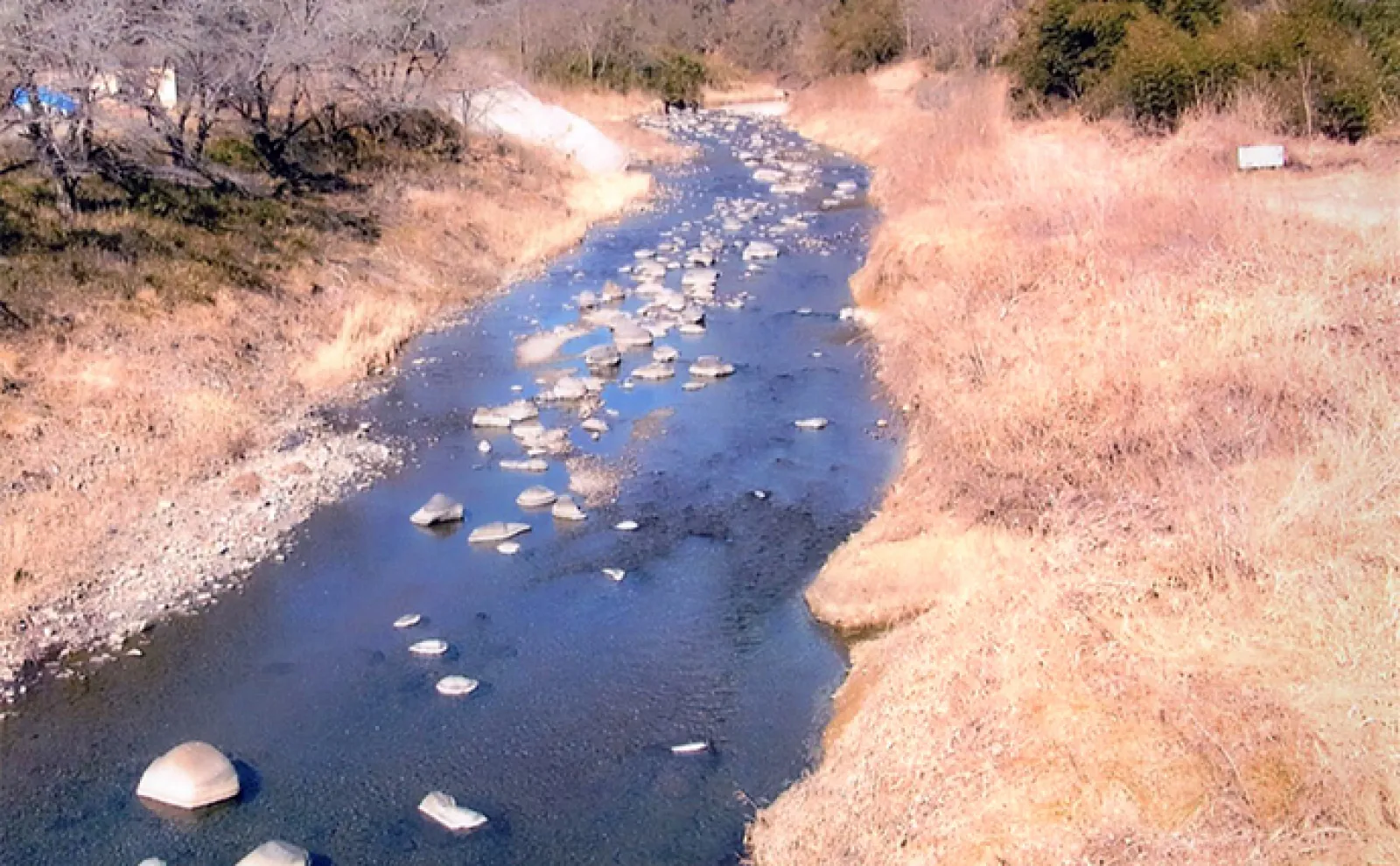 【山梨・桂川】渓流釣りポイント紹介 エサはイクラ・ブドウ虫・ミミズの用意を