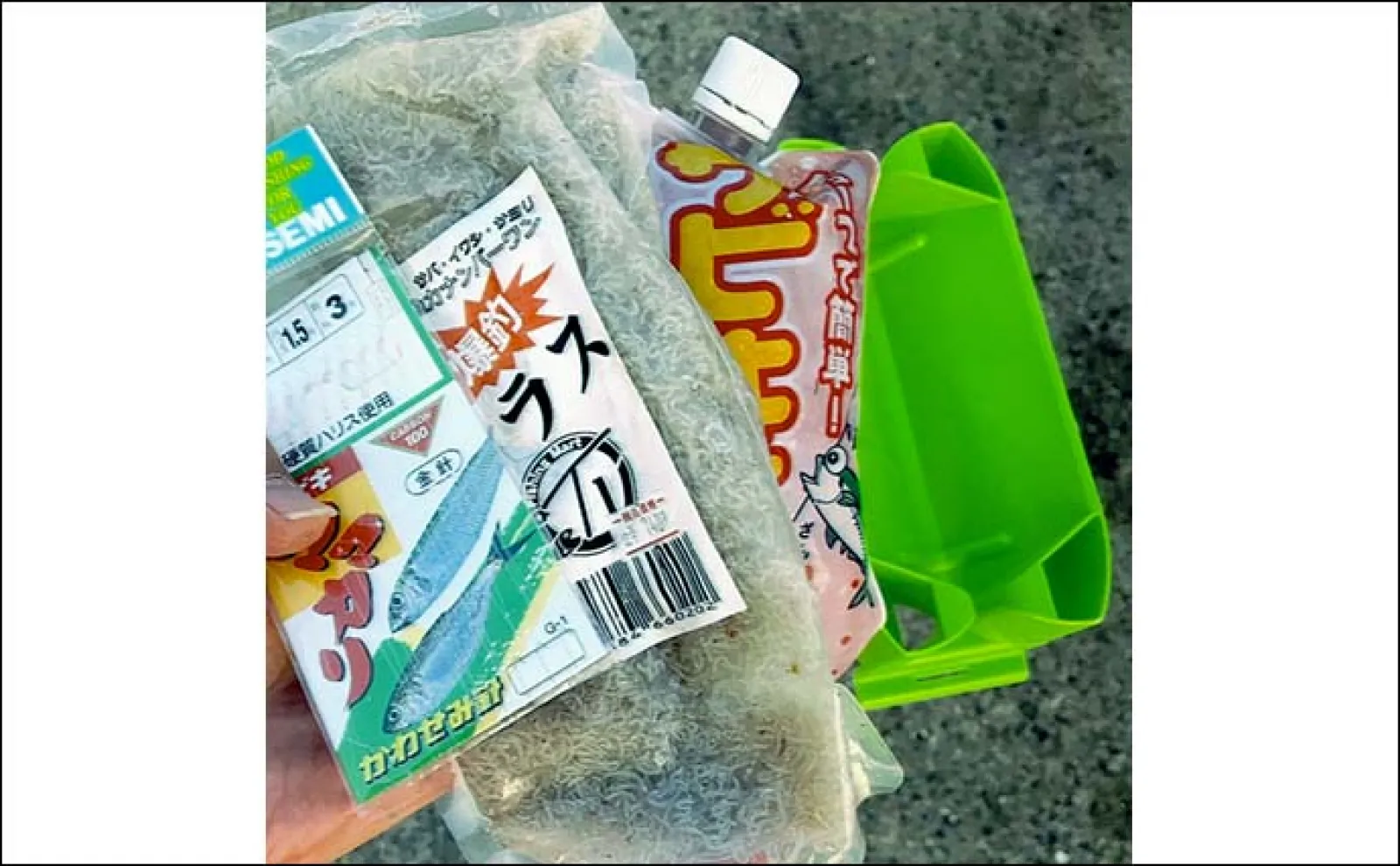 堤防サビキ釣りでボラ爆釣に大満足【愛知】刺身・塩焼き・唐揚げに舌鼓
