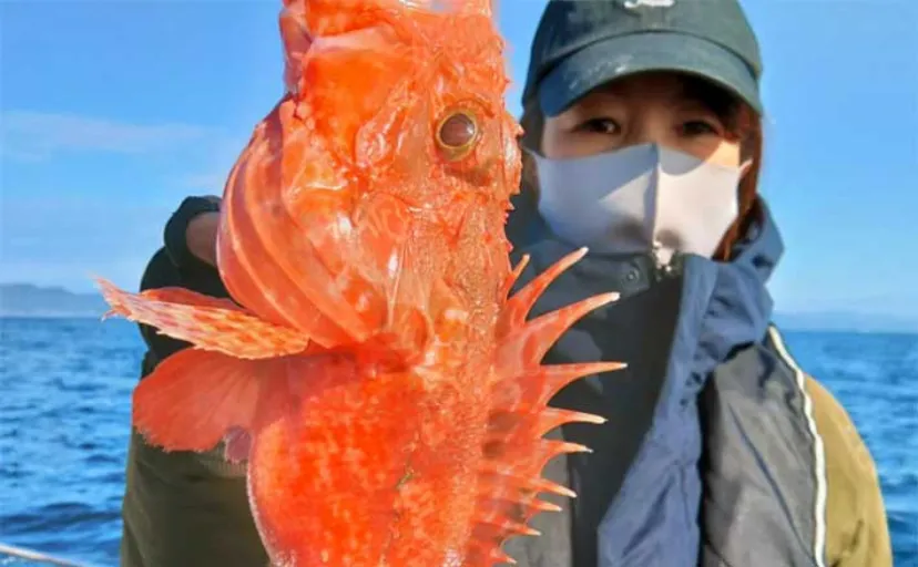 ジギングでオニカサゴにチカメキントキGET【三重県】船のルアー最新釣果