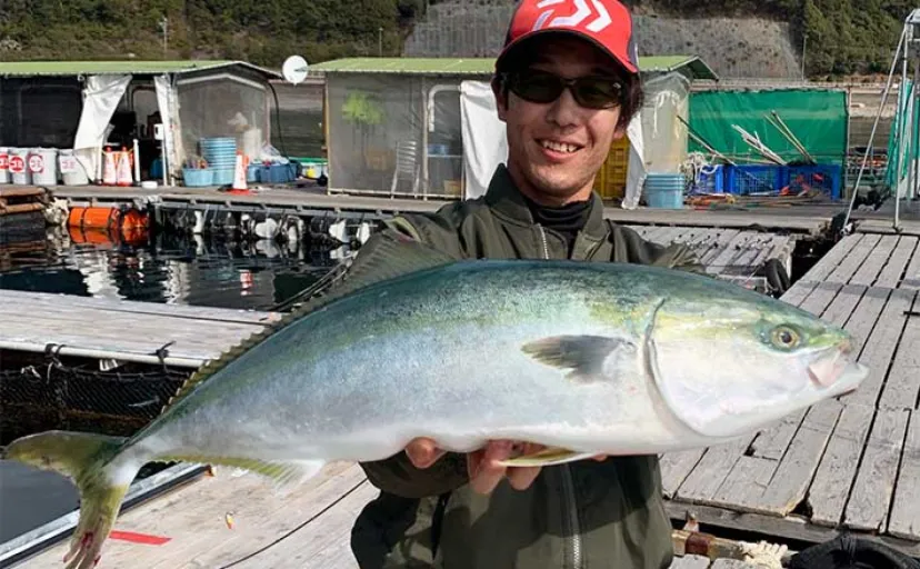 海上釣り堀でワラサにマダイ【正徳丸】 外側でのエギングで大型アオリイカも浮上