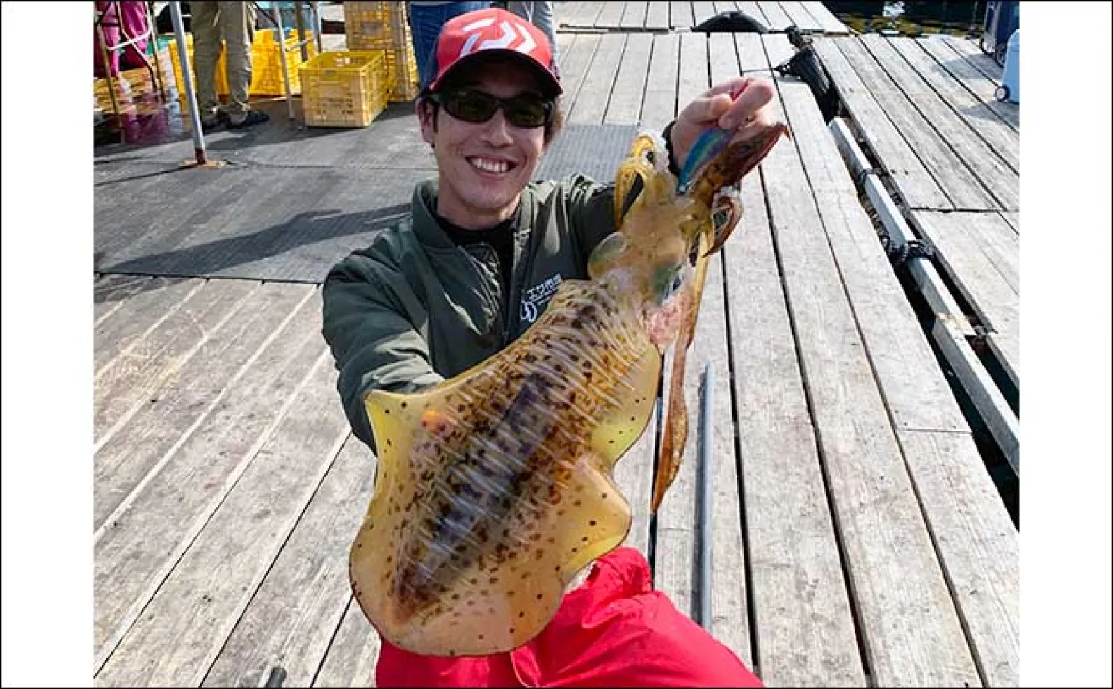 海上釣り堀でワラサにマダイ【正徳丸】 外側でのエギングで大型
