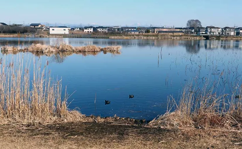 今週のヘラブナ推薦釣り場2023【群馬県・城沼】