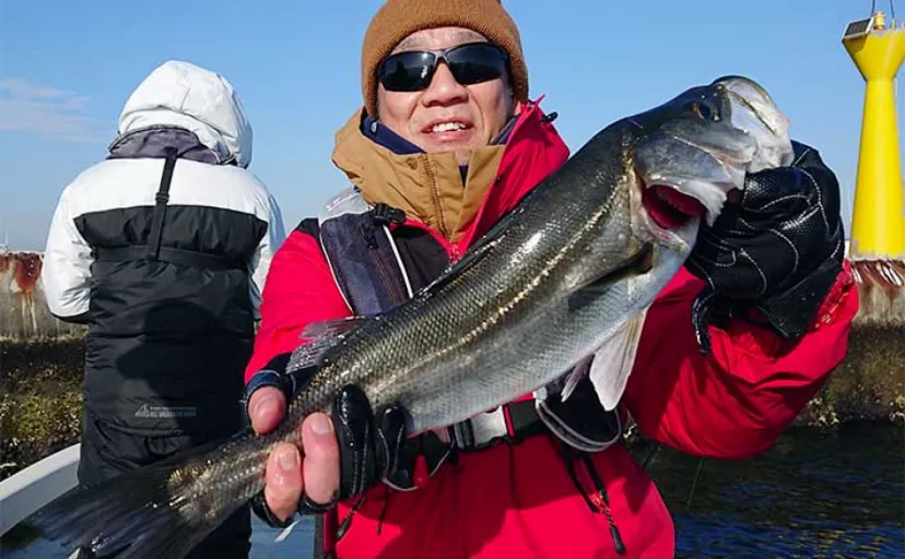東京湾シーバスジギング釣行で65cm頭に連発【林遊船】キャスティングでも連打