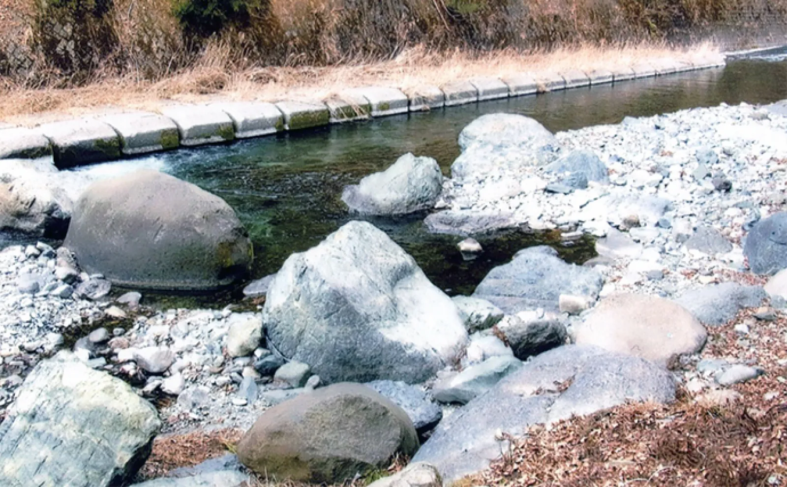 【山梨・道志川】渓流釣りポイント紹介 水質良く美味しい魚が釣れる
