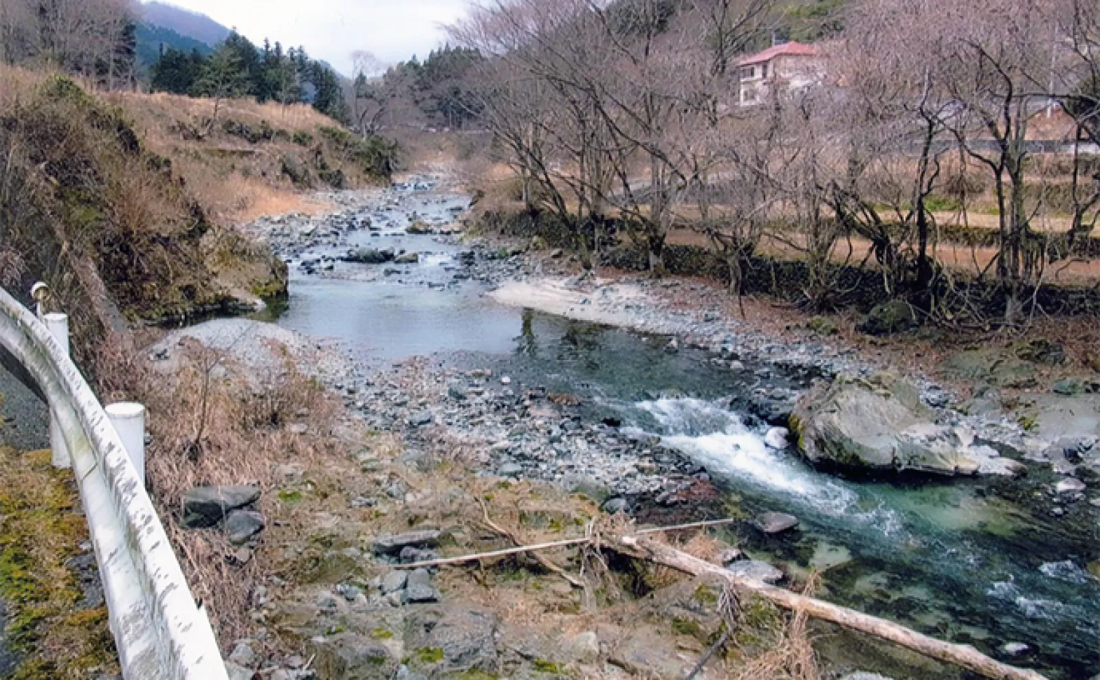 【山梨・道志川】渓流釣りポイント紹介 水質良く美味しい魚が釣れる