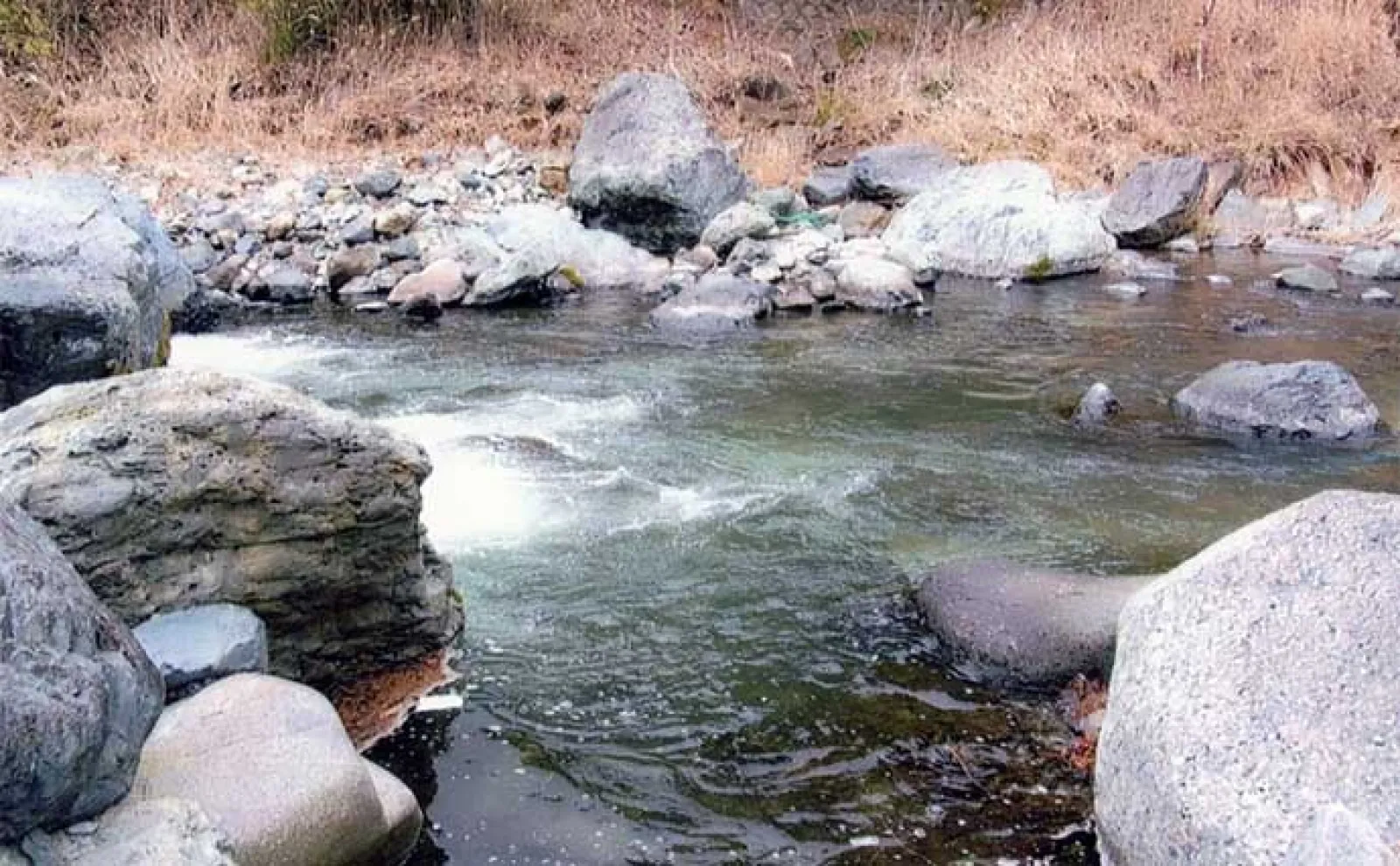 【山梨・道志川】渓流釣りポイント紹介 水質良く美味しい魚が釣れる
