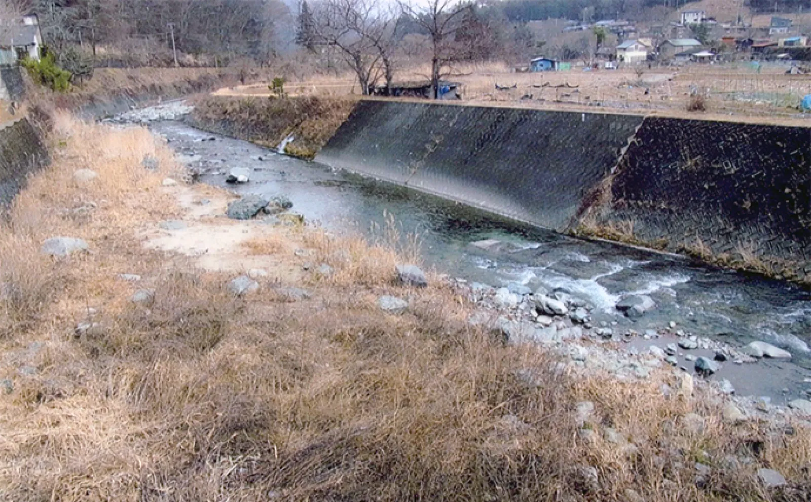 【山梨・道志川】渓流釣りポイント紹介 水質良く美味しい魚が釣れる