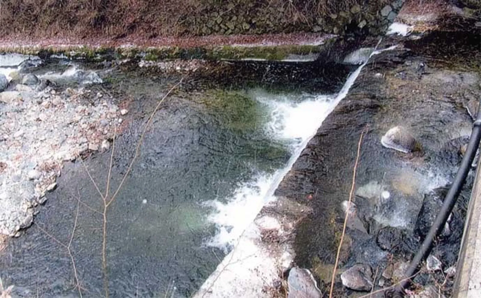【山梨・道志川】渓流釣りポイント紹介 水質良く美味しい魚が釣れる