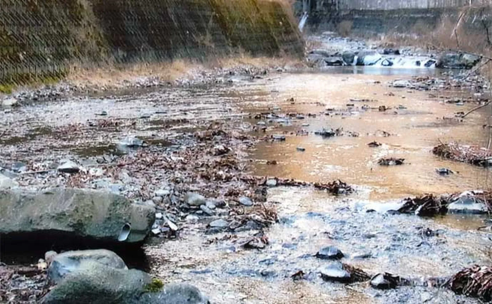 【山梨・小菅川】渓流釣りポイント紹介　規模が小さいが景観良く魚影も濃い