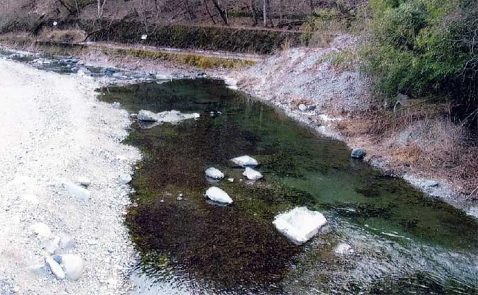 【山梨・小菅川】渓流釣りポイント紹介　規模が小さいが景観良く魚影も濃い
