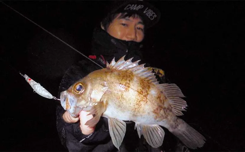 陸っぱりメバリング釣行で25cm頭にメバル2桁釣果【熊本・天草】