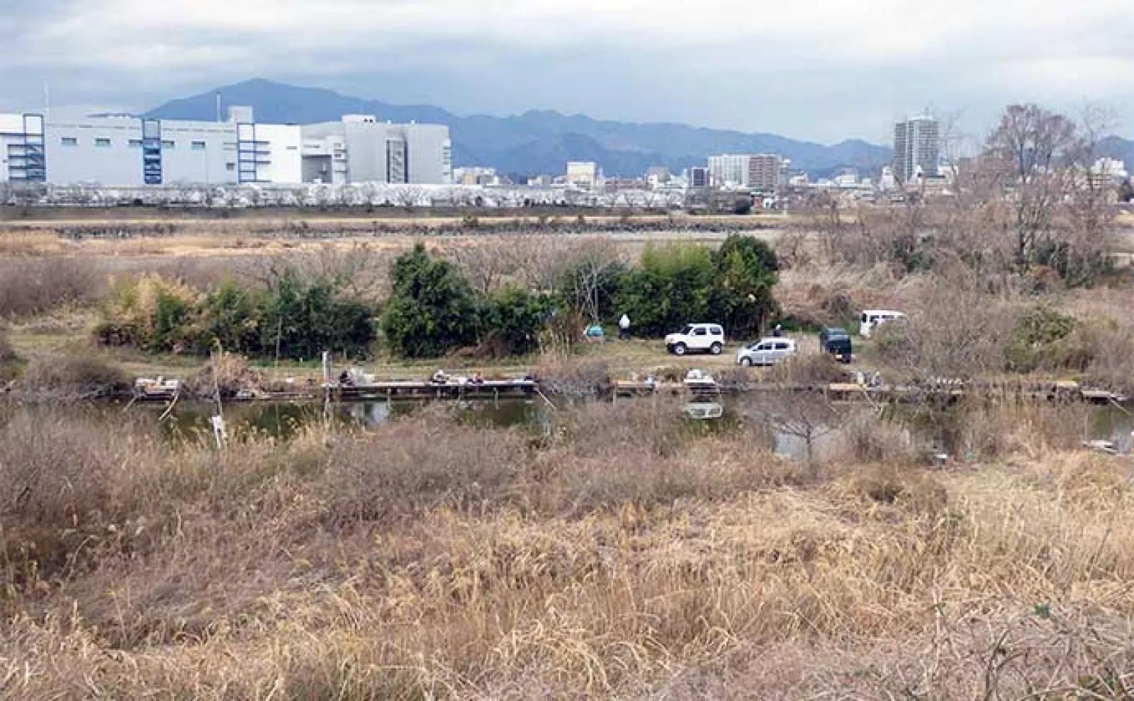 今週のヘラブナ推薦釣り場2023【神奈川県・海老名運動公園下】