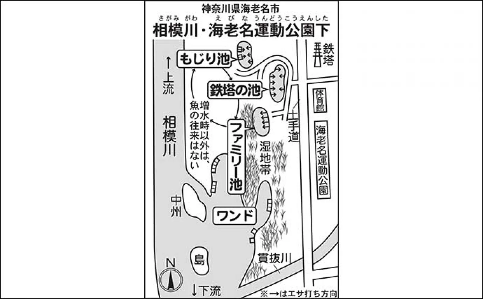 今週のヘラブナ推薦釣り場2023【神奈川県・海老名運動公園下】