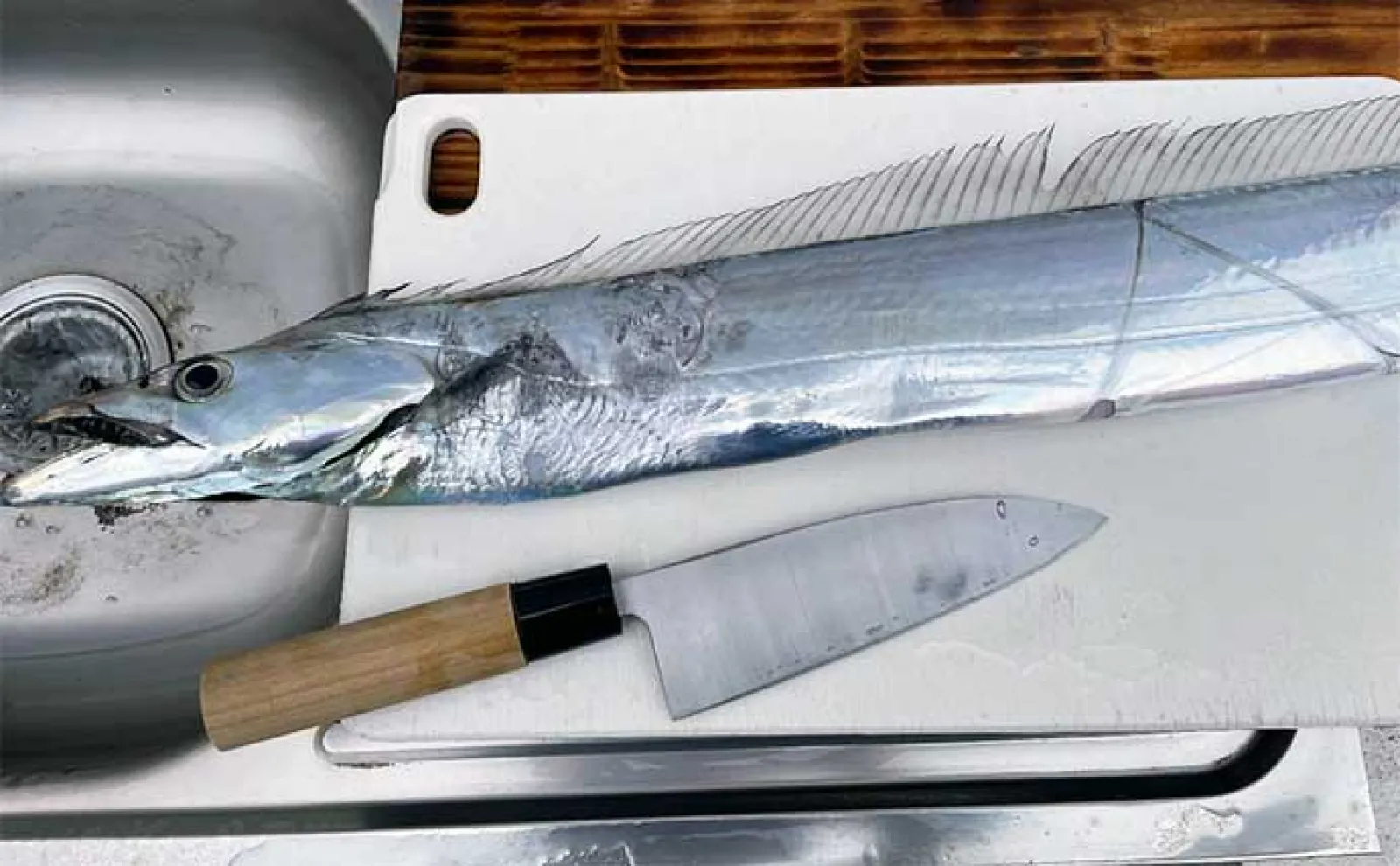 東京湾ジギングタチウオ釣行で3匹と苦戦も釣魚グルメを堪能【横浜・渡辺釣船】