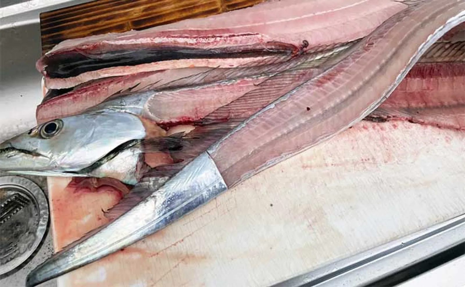 東京湾ジギングタチウオ釣行で3匹と苦戦も釣魚グルメを堪能【横浜・渡辺釣船】