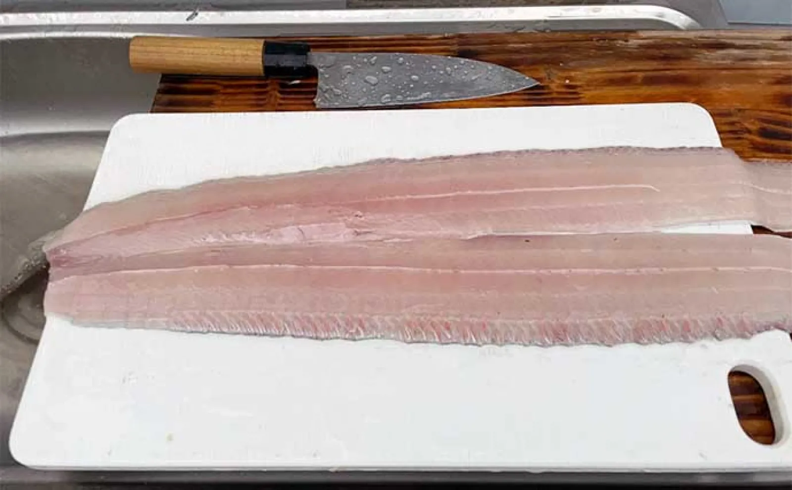 東京湾ジギングタチウオ釣行で3匹と苦戦も釣魚グルメを堪能【横浜・渡辺釣船】