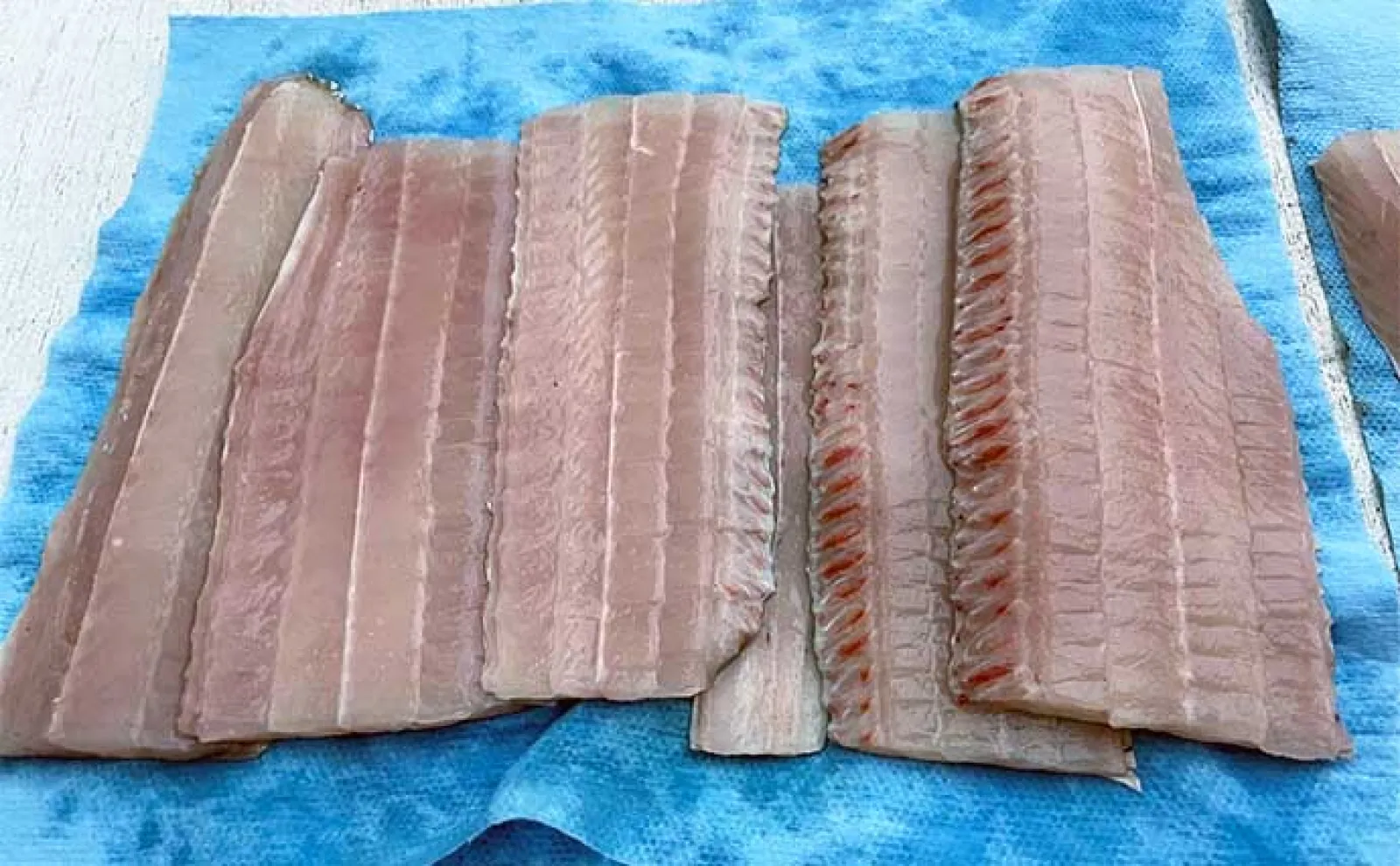 東京湾ジギングタチウオ釣行で3匹と苦戦も釣魚グルメを堪能【横浜・渡辺釣船】
