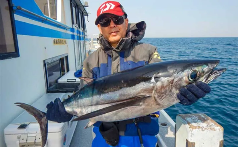 トンボジギング初挑戦で本命ビンチョウマグロキャッチ成功【愛知・大進丸】