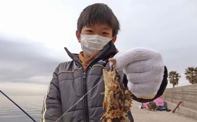 護岸からの投げ釣りでタケノコメバルにクジメ【伊勢湾】周囲でカレイも顔出し