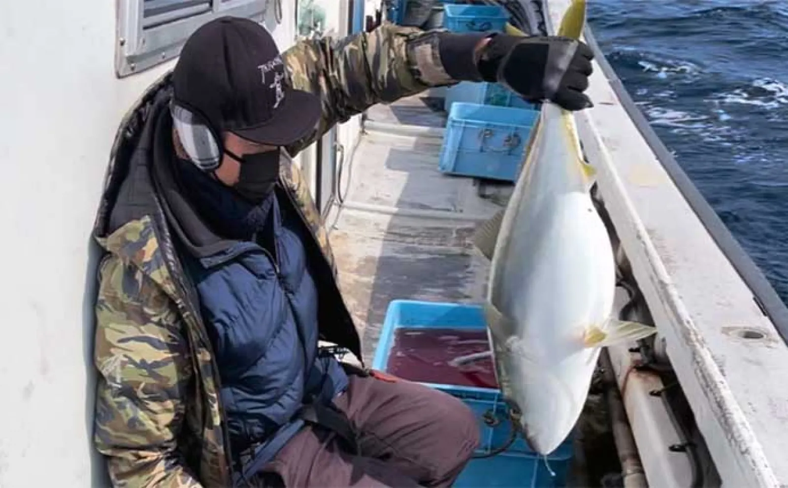 日本海ジギング&タイラバ釣行でブリやホッケなど五目達成【新潟・金栄丸】