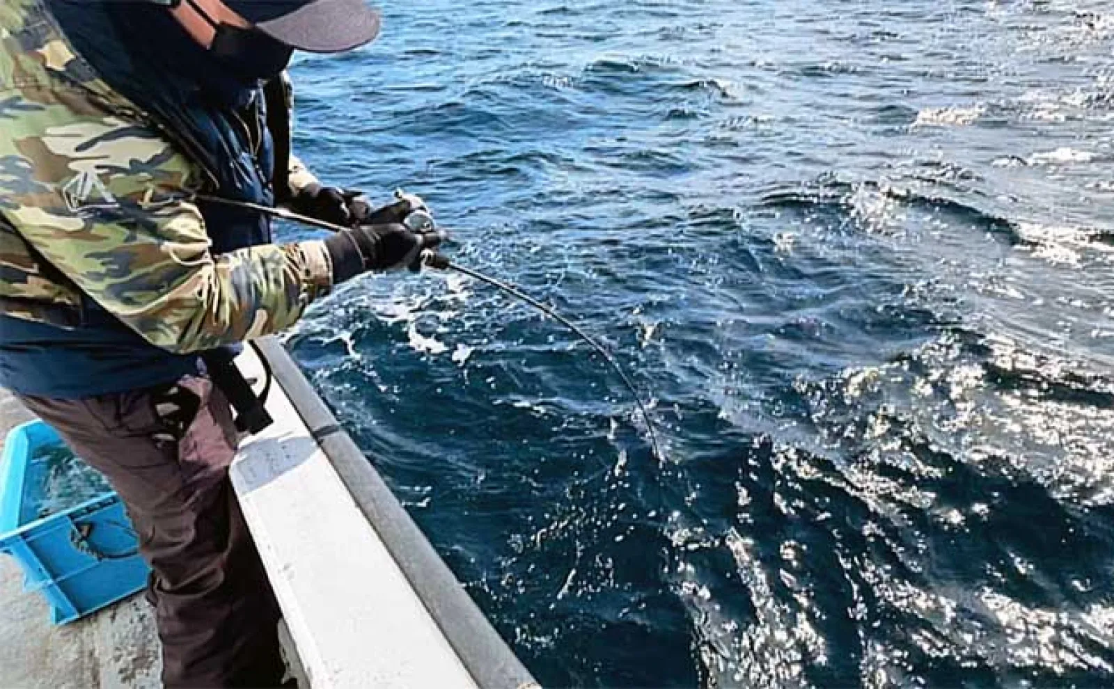 日本海ジギング&タイラバ釣行でブリやホッケなど五目達成【新潟・金栄丸】
