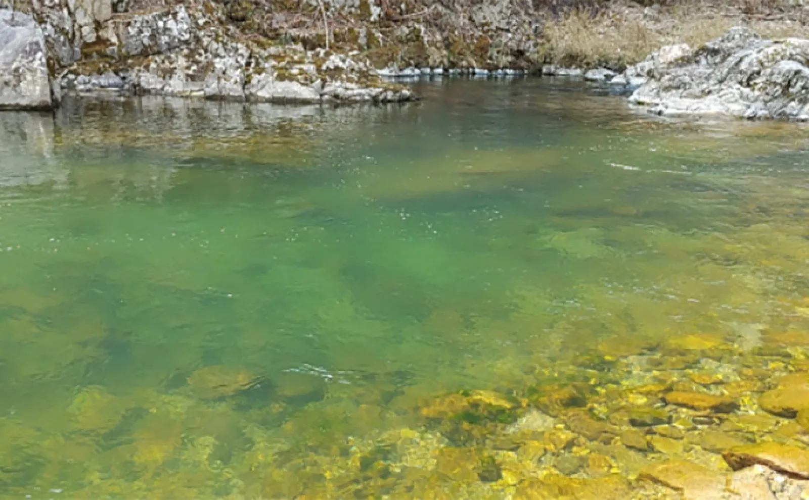 渓流エサ釣りで【最初の1匹を釣るためのポイントの選び方】 魚が居つく場所はどこ?