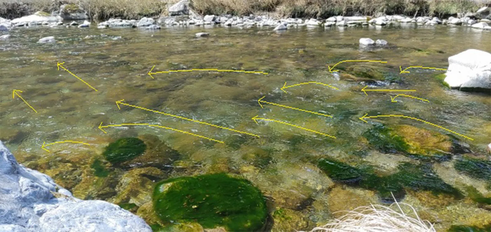 渓流エサ釣りで【最初の1匹を釣るためのポイントの選び方】 魚が居つく場所はどこ?