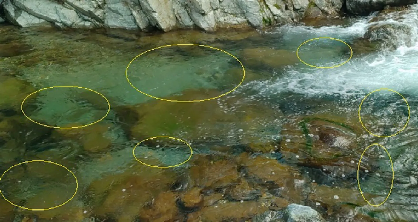 渓流エサ釣りで【最初の1匹を釣るためのポイントの選び方】 魚が居つく場所はどこ?