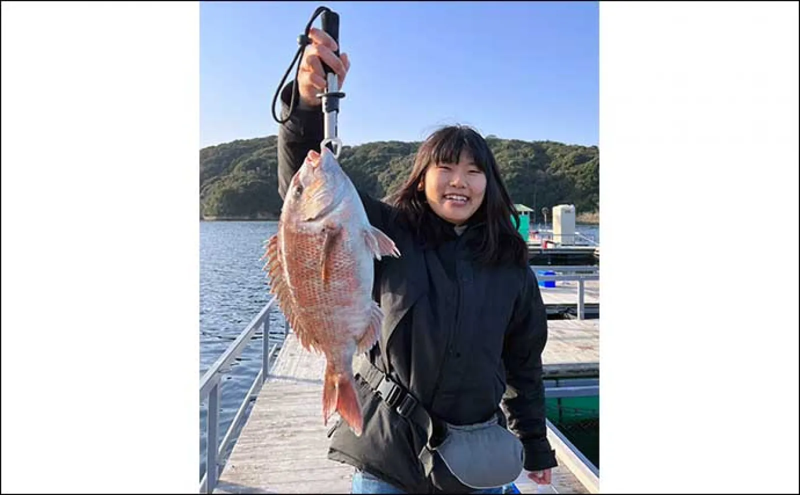 海上釣り堀でマダイ14匹と快釣【三重・南伊勢】エサのローテーションが重要
