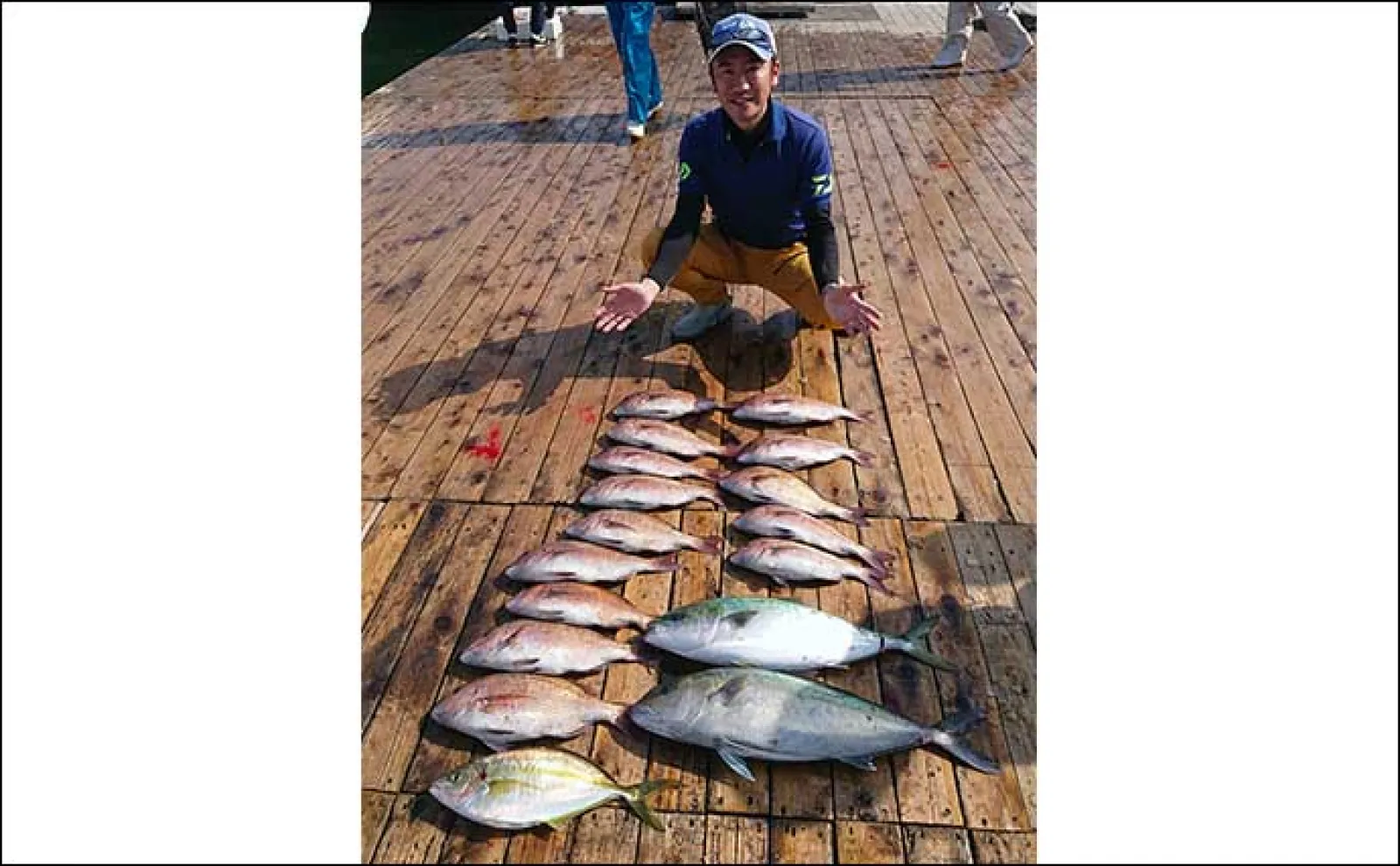 海上釣り堀でマダイ14匹と快釣【三重・南伊勢】エサのローテーションが重要