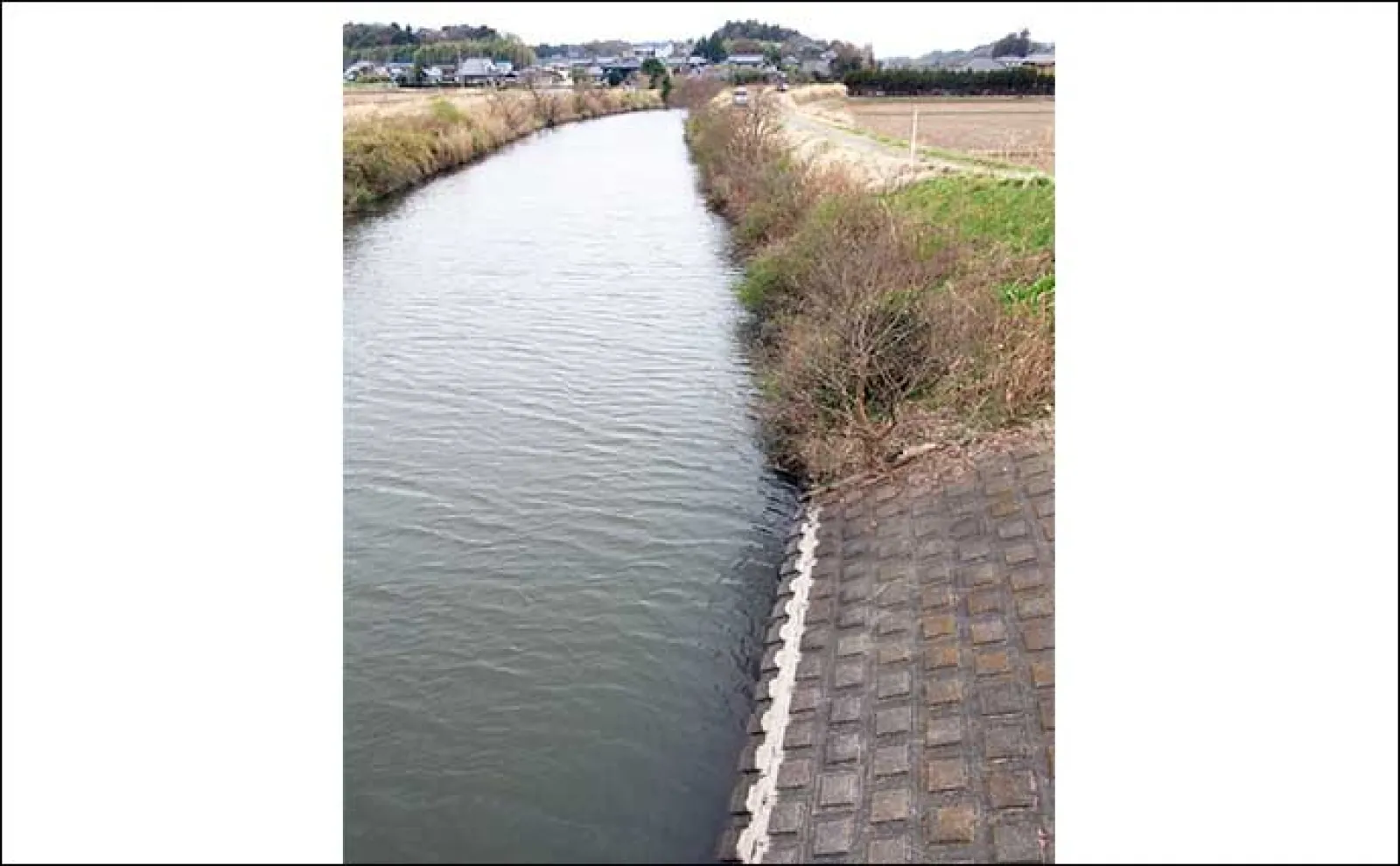 今週のヘラブナ推薦釣り場2023【茨城県・清明川】