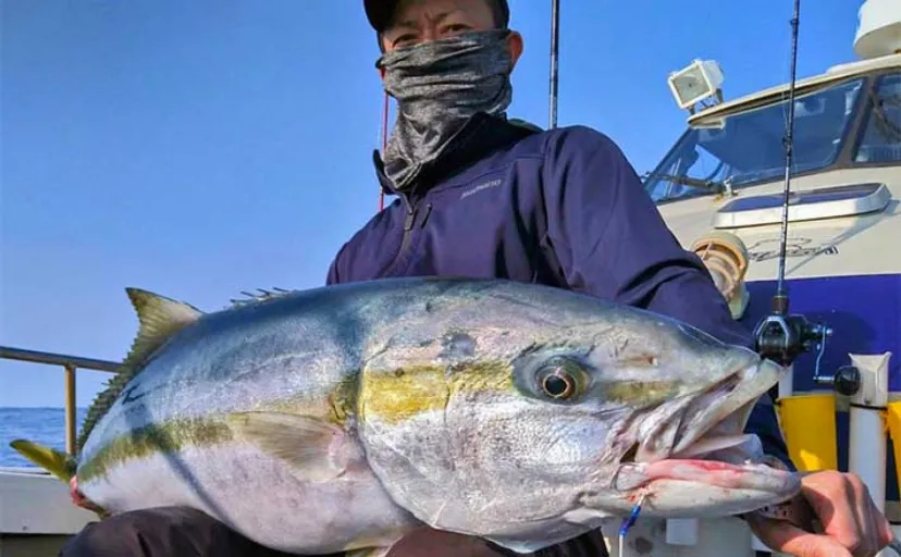 【釣果速報】ジギングで137cm20kgオーバーのヒラマサをキャッチ（福岡）