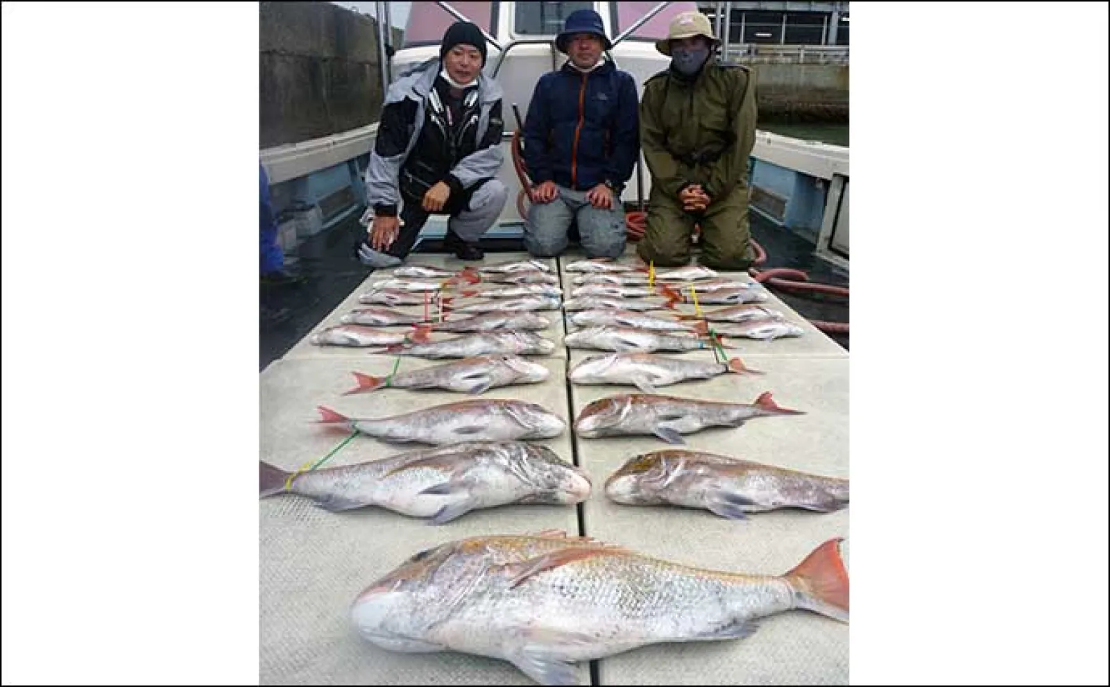【釣果速報】ジギングで137cm20kgオーバーのヒラマサをキャッチ(福岡)