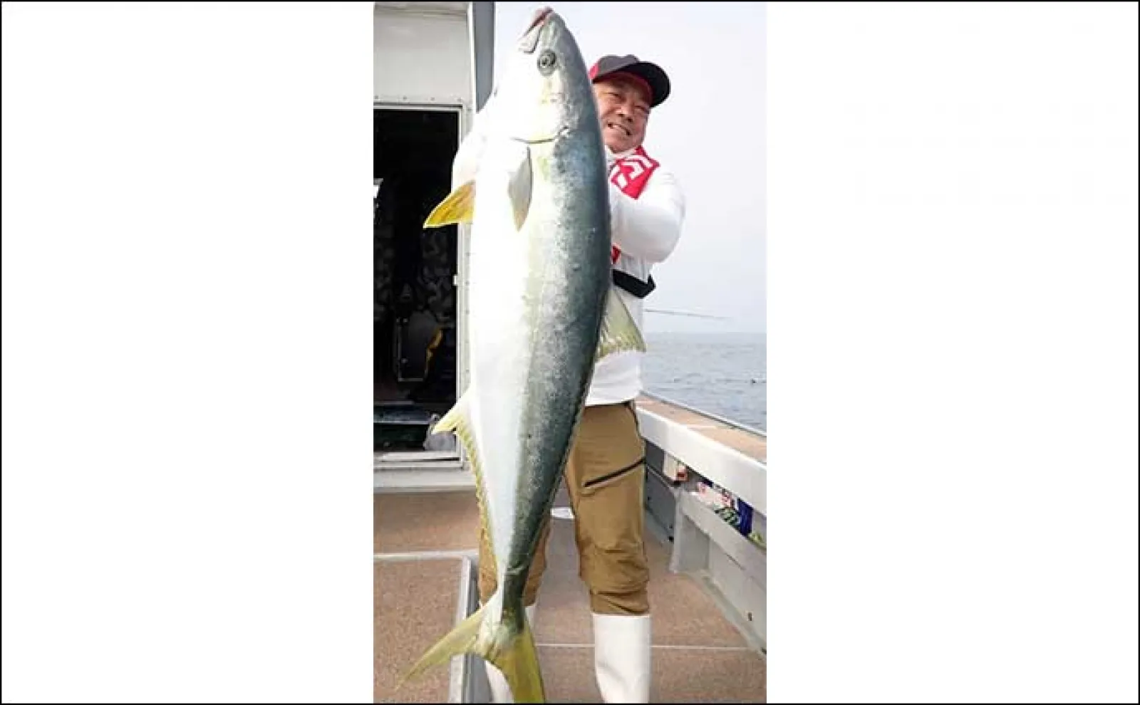 【釣果速報】ジギングで137cm20kgオーバーのヒラマサをキャッチ(福岡)