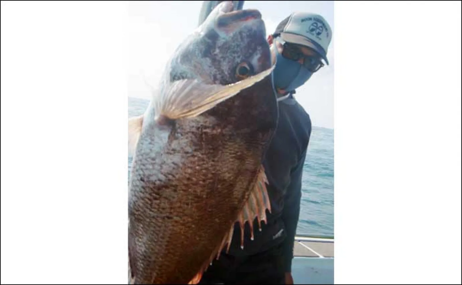 【釣果速報】ジギングで137cm20kgオーバーのヒラマサをキャッチ(福岡)
