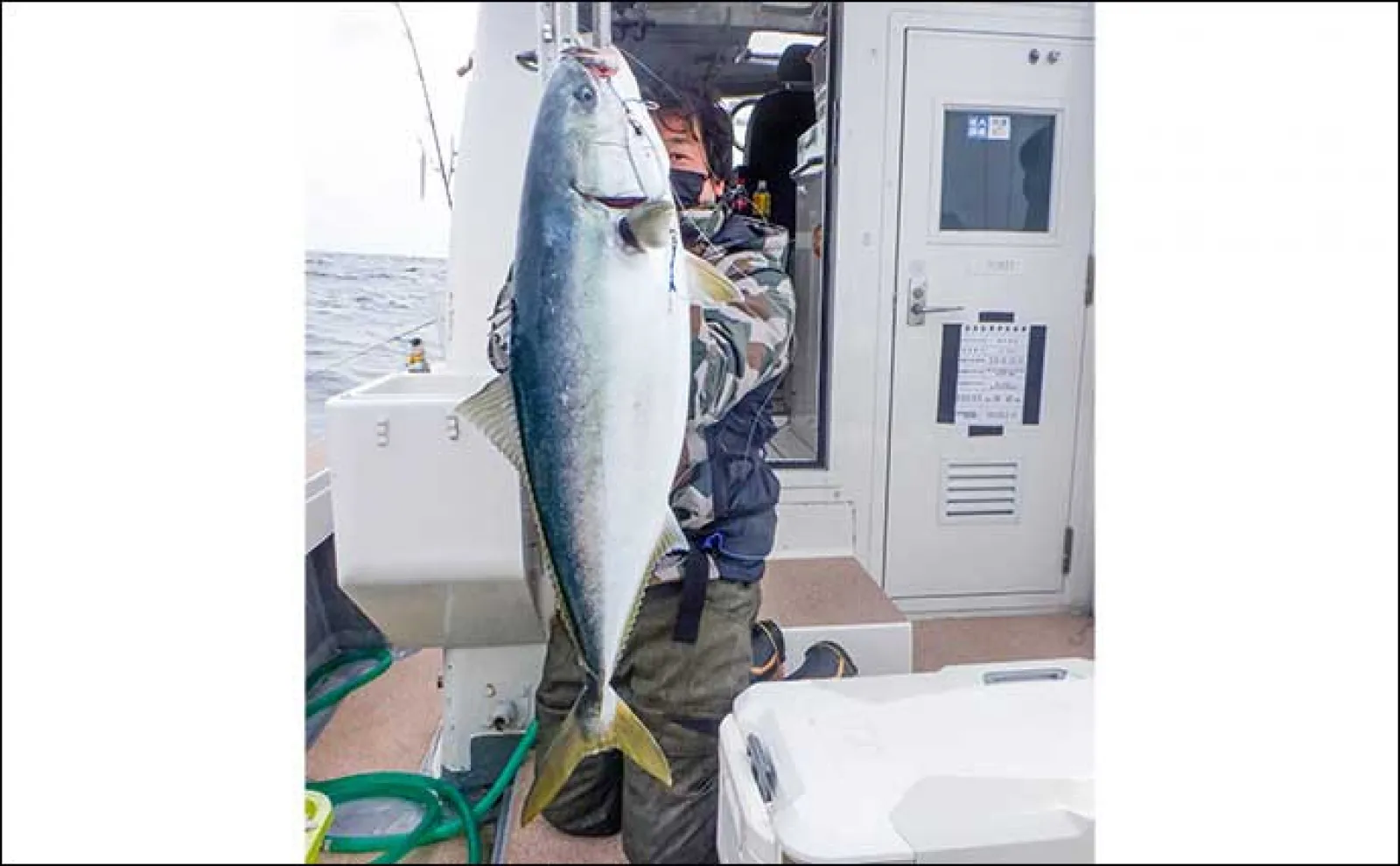 ジギング釣行で7kg級ブリキャッチ【福井・あみや渡船】船中良型青物が続々