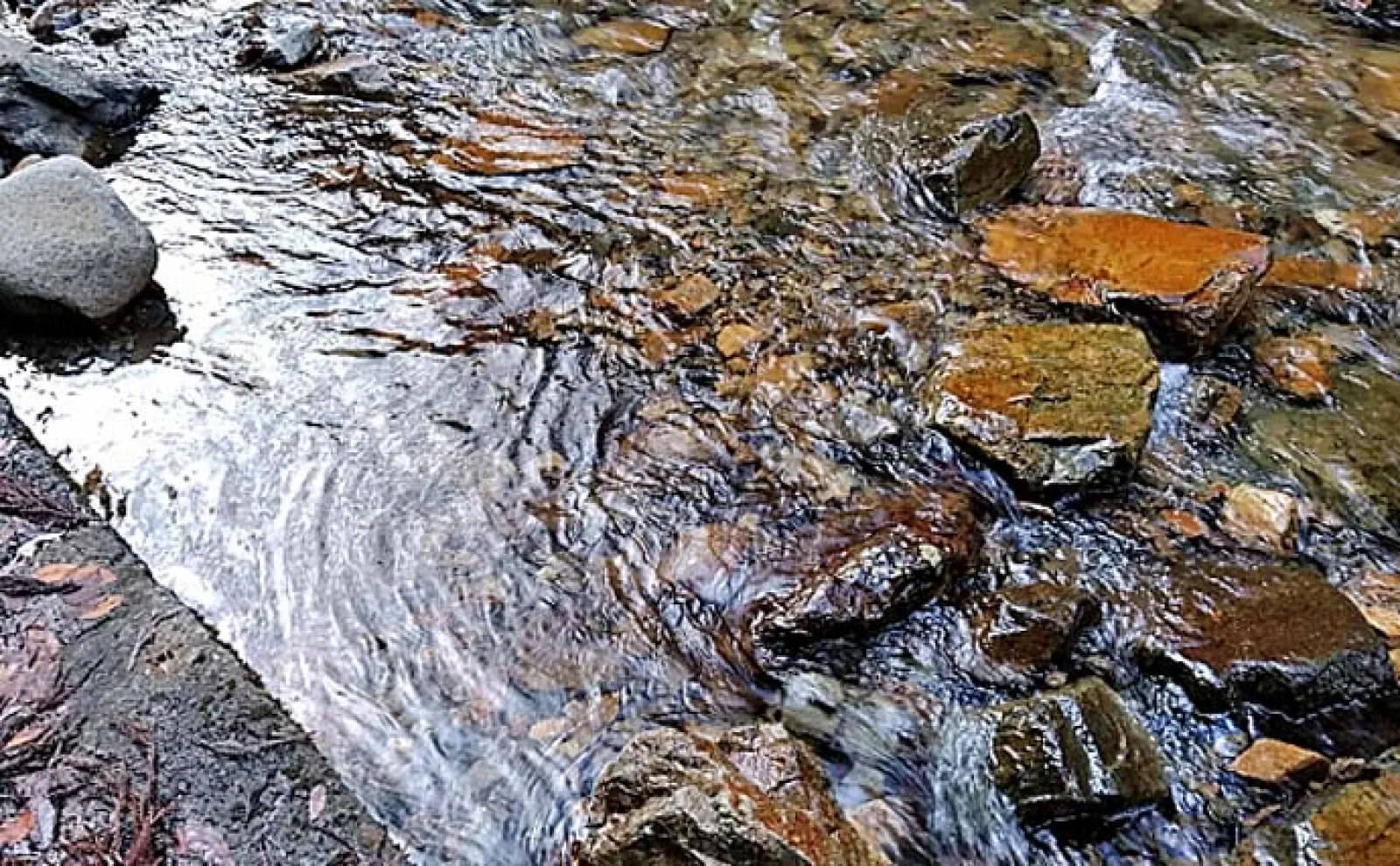 ストア 渓流 偏光グラス 効果