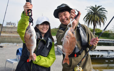 85 山採り　ハシバミ 85 山採り ハシバミ 85 山取 ハシバミ