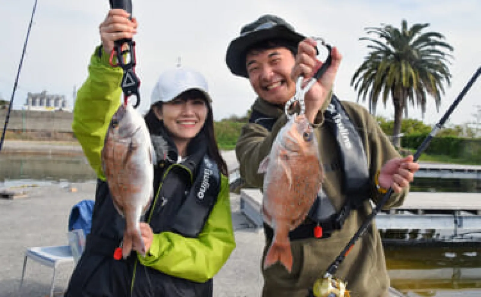 爆釣美浜フィッシングパークでマダイ8尾【愛知】誘い＆エサ交換で釣果