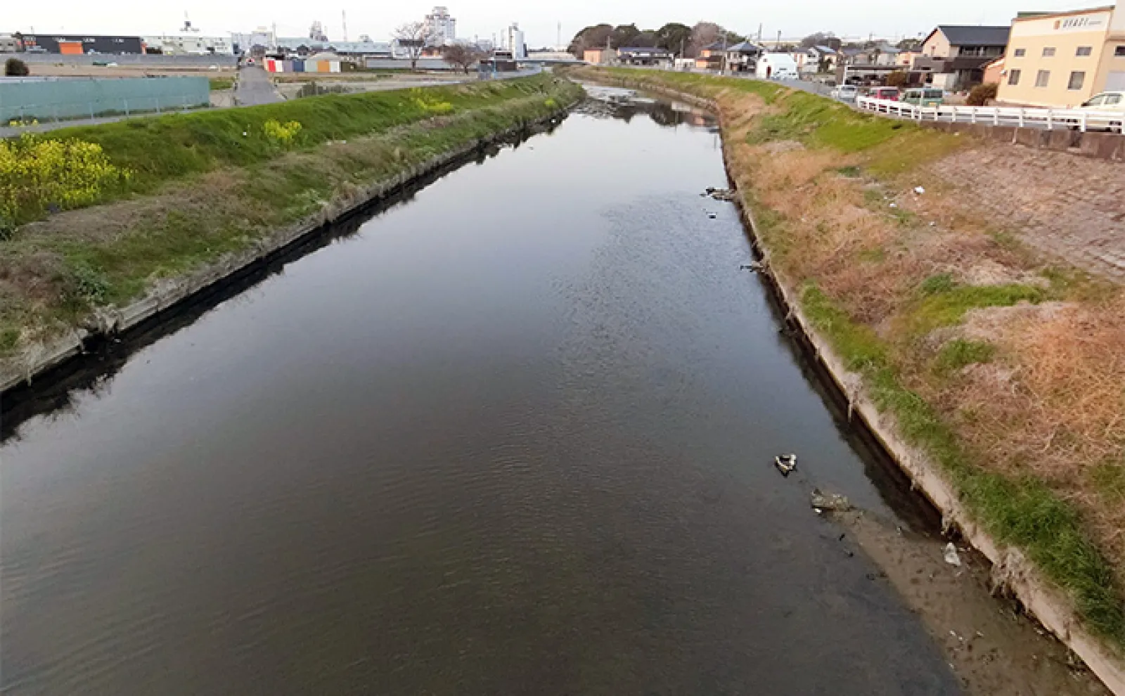 日中のルアーナマズ釣りで65cm頭に60cmオーバー3匹キャッチ【愛知県・青木川】