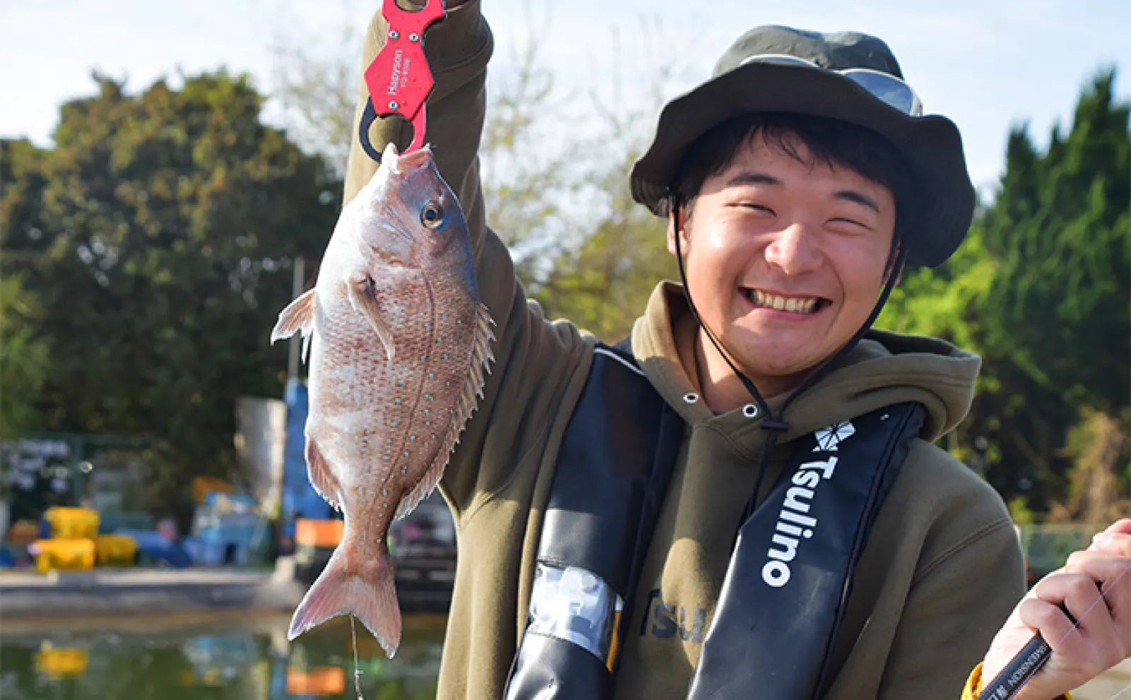 85 山採り　ハシバミ 85 山採り ハシバミ 85 山取 ハシバミ