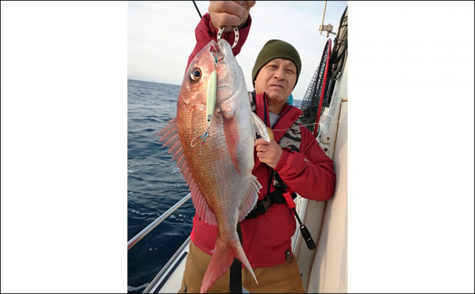 【最新釣果】イカメタル・胴突きでマイカ（ケンサキイカ）が好調顔出し（福井）