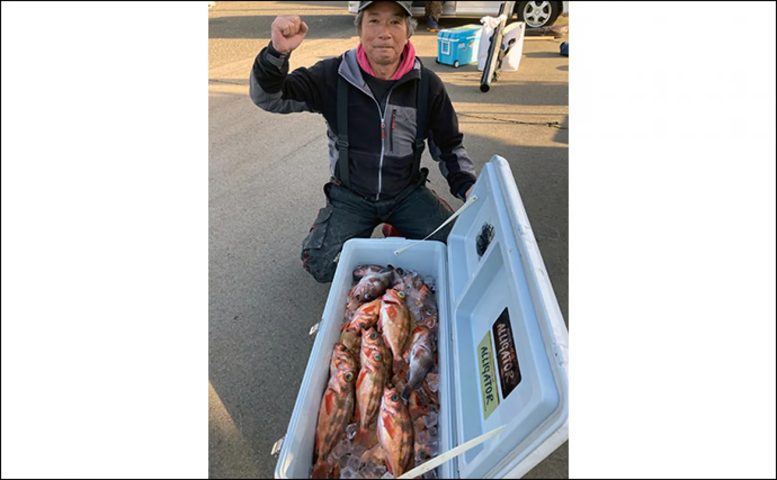 【最新釣果】イカメタル・胴突きでマイカ（ケンサキイカ）が好調顔出し（福井）