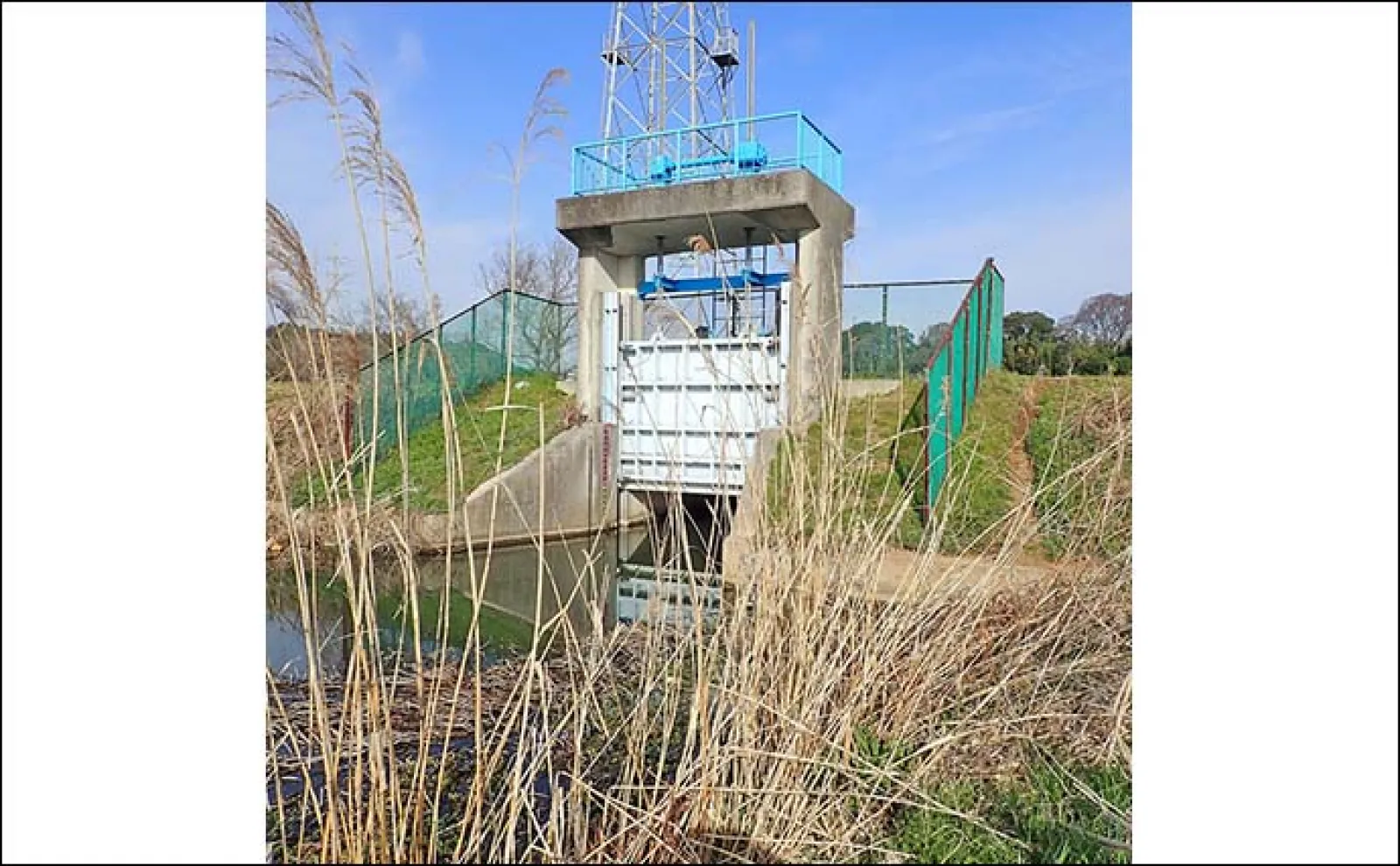 乗っ込みマブナおすすめ釣り場：千葉・大津川　下流周辺のホソを紹介
