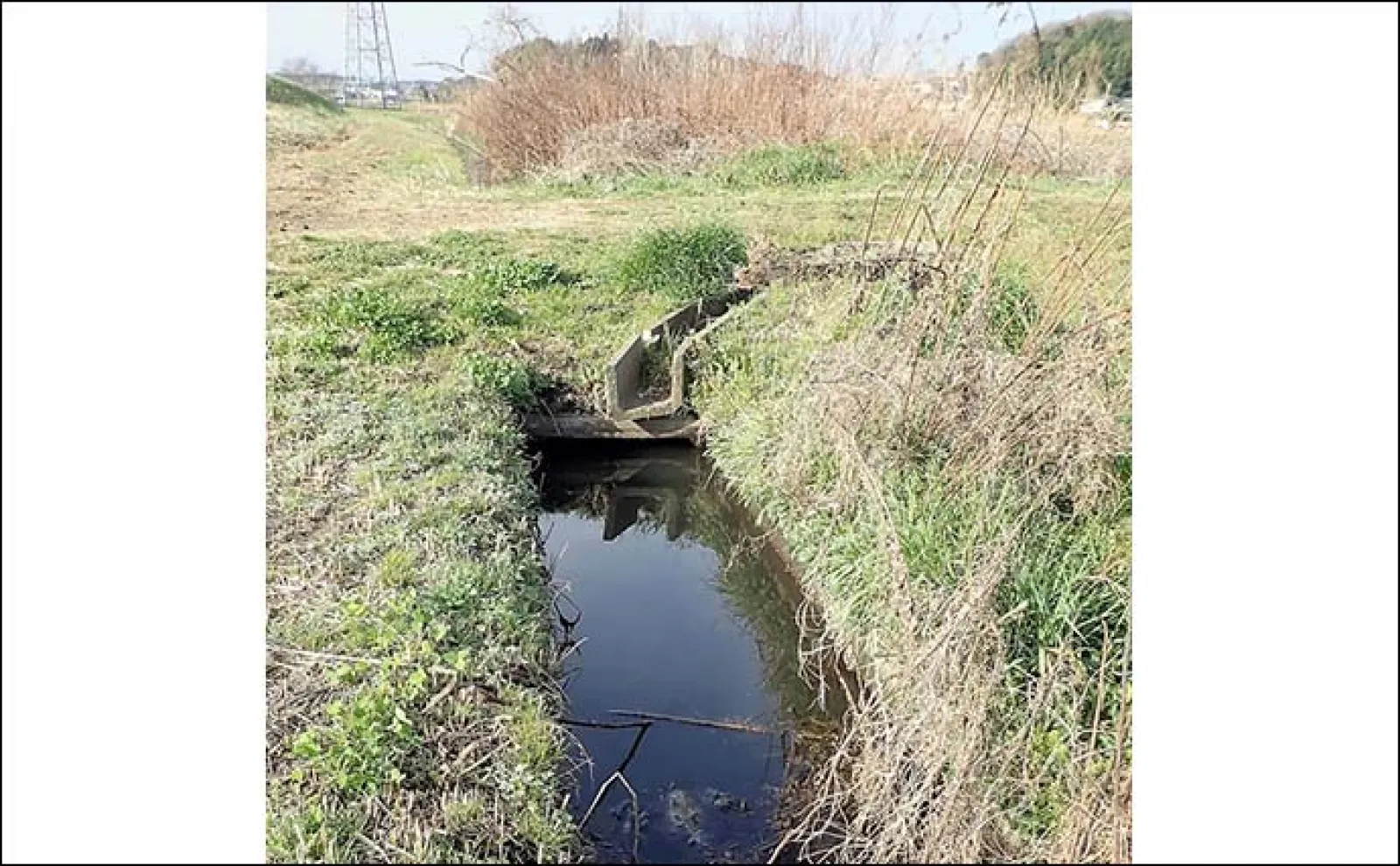 乗っ込みマブナおすすめ釣り場：千葉・大津川　下流周辺のホソを紹介
