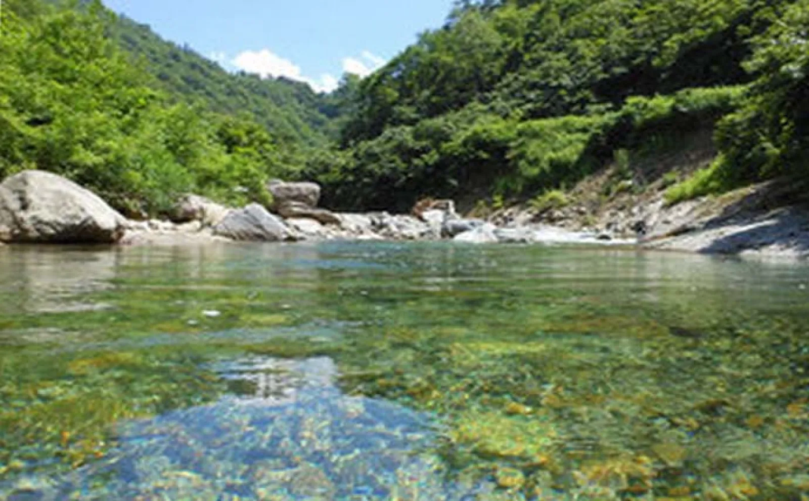 トラウト好釣り場紹介:銀山湖(奥只見湖) 60cm級イワナにサクラマスも狙える