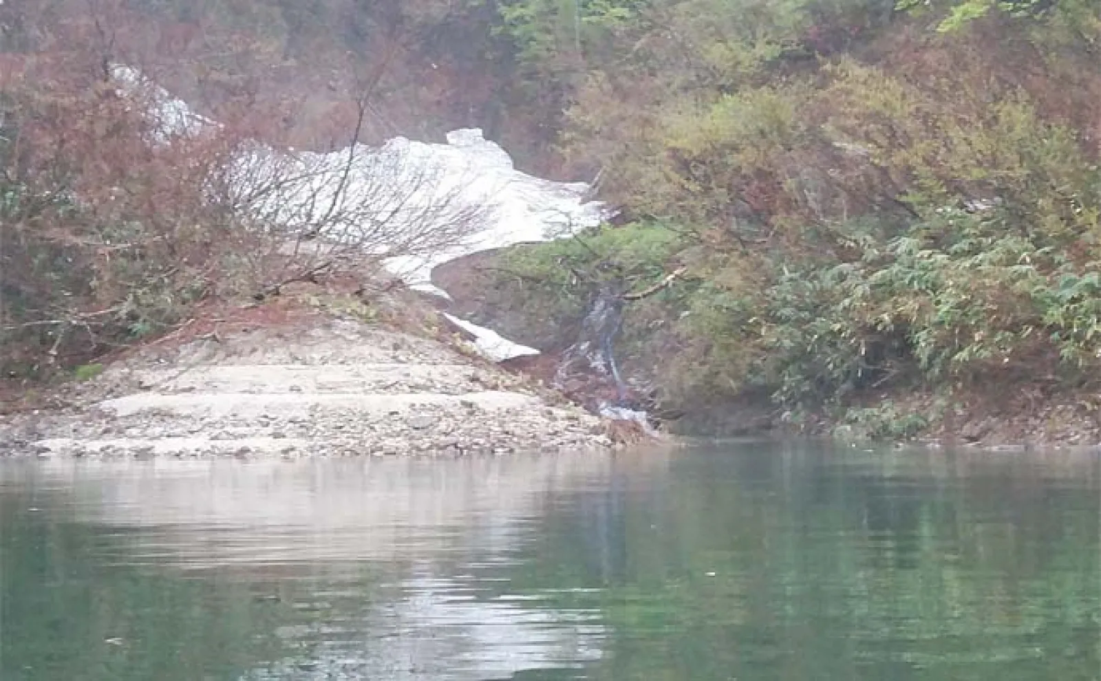 トラウト好釣り場紹介:銀山湖(奥只見湖) 60cm級イワナにサクラマスも狙える