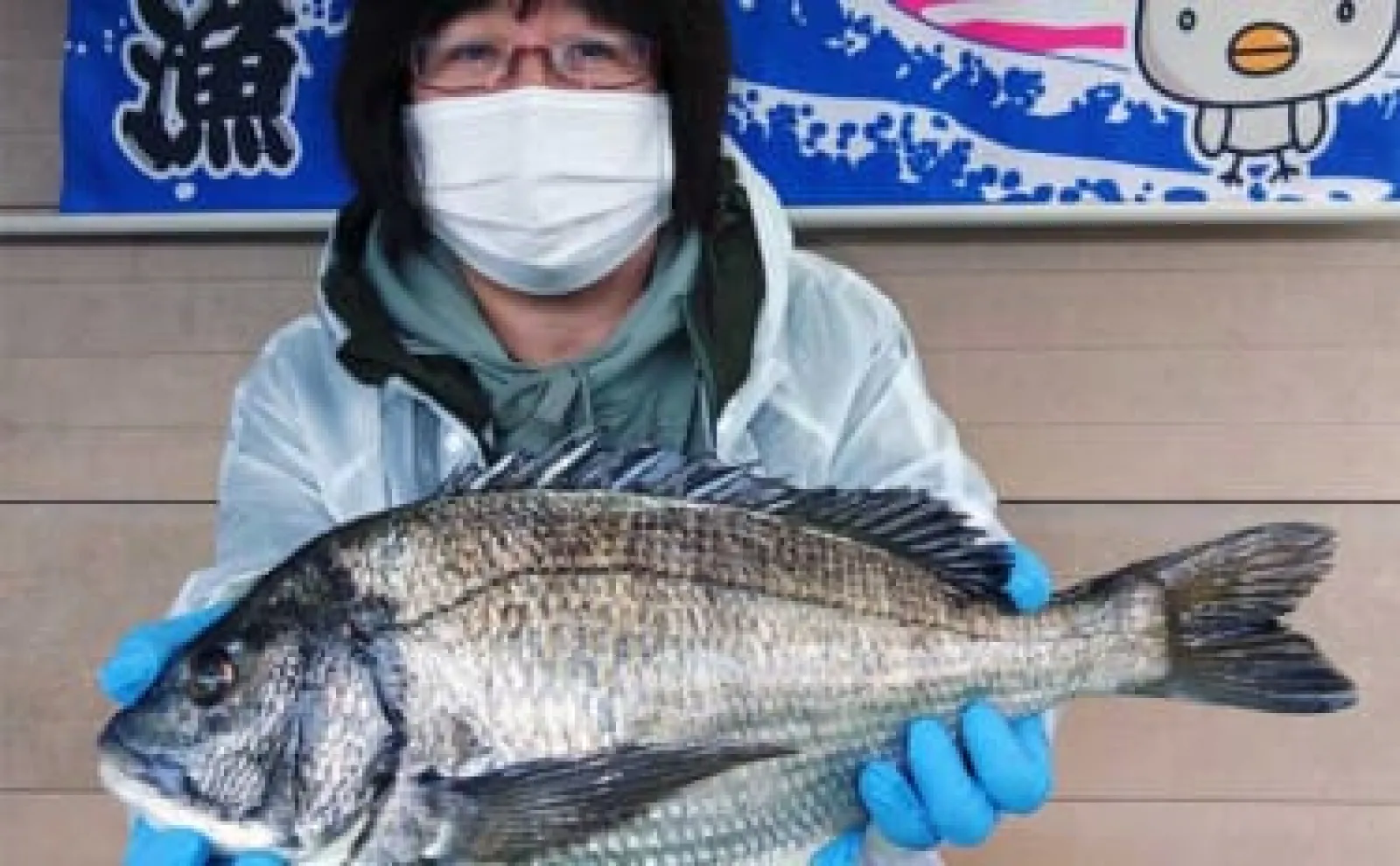 イカダで乗っ込みクロダイの気配濃厚【三重】カカリ釣り最新釣果