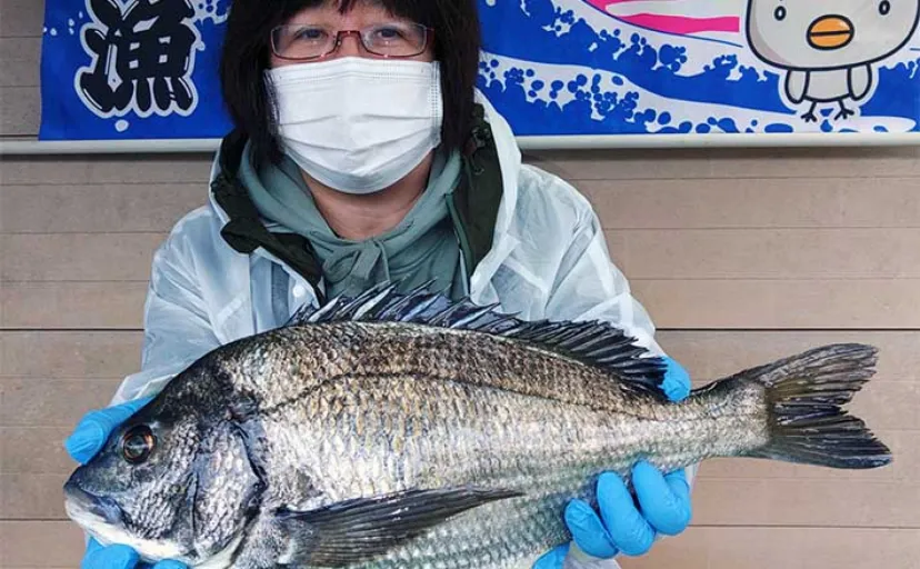 イカダで乗っ込みクロダイの気配濃厚【三重】カカリ釣り最新釣果