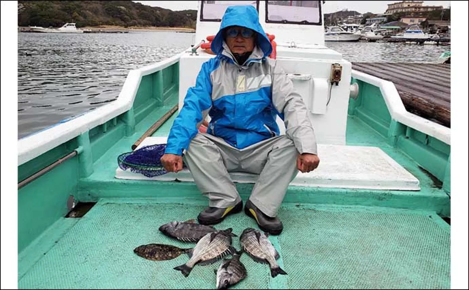 イカダで乗っ込みクロダイの気配濃厚【三重】カカリ釣り最新釣果